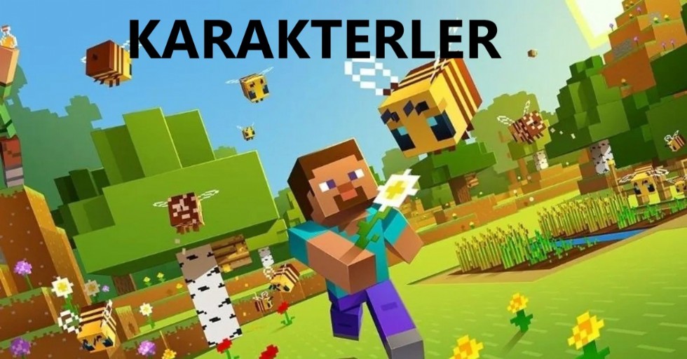 Minecraft'ta karakter neye denir?