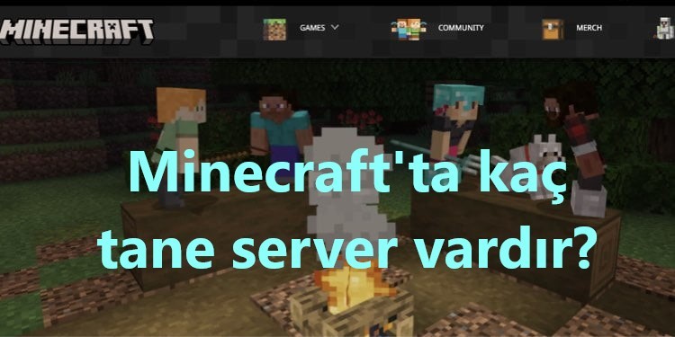 Minecraft'ta kaç tane server vardır?