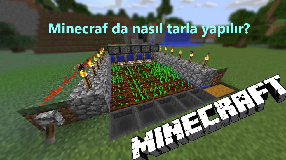 Minecraf da nasıl tarla yapılır?