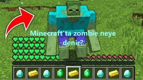 Minecraft'ta zombie neye denir?