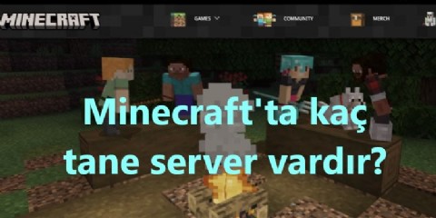 Minecraft'ta kaç tane server vardır?