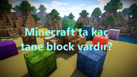 Minecraft'ta kaç tane block vardır?