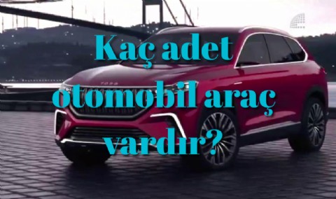 Kaç adet otomobil araç vardır?